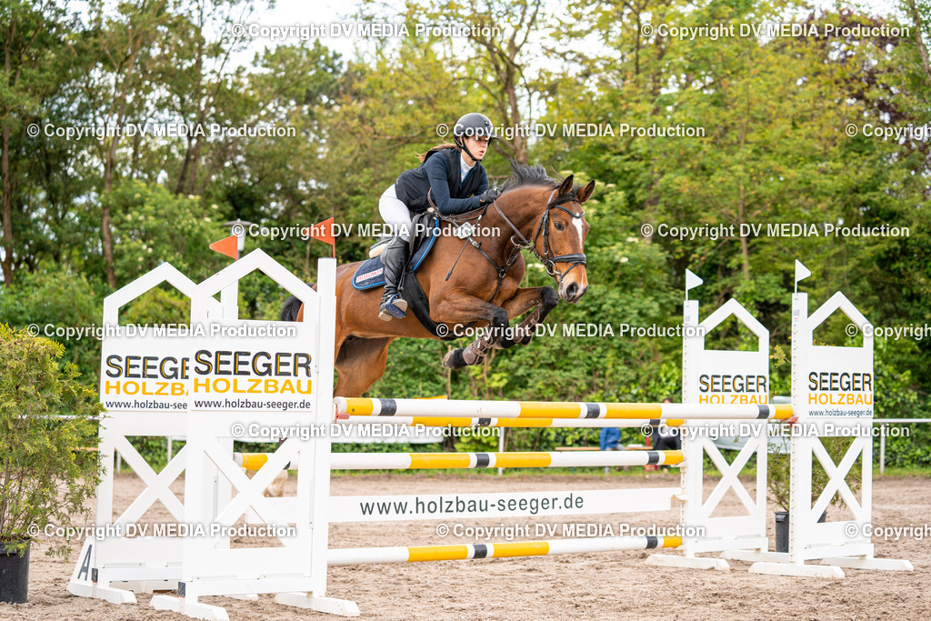 Eppelheim Tag 1-196 | dv-media-shop - Realisiert mit Pictrs.com