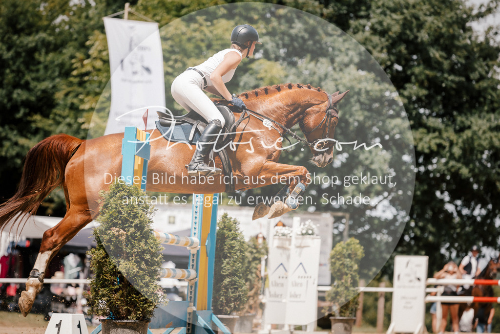 3I6A8041 | Stimmungsvolle Portraits und Reitsportfotografie im Ruhrgebiet und im Münsterland.

Pferdefotografie, Hundefotografie, Tierfotografie, Reportagen, Portraits von Tier und Mensch, Turnierfotografie in Bochum, Recklinghausen, Marl, Haltern am See, Dülmen.. - Realisiert mit Pictrs.com