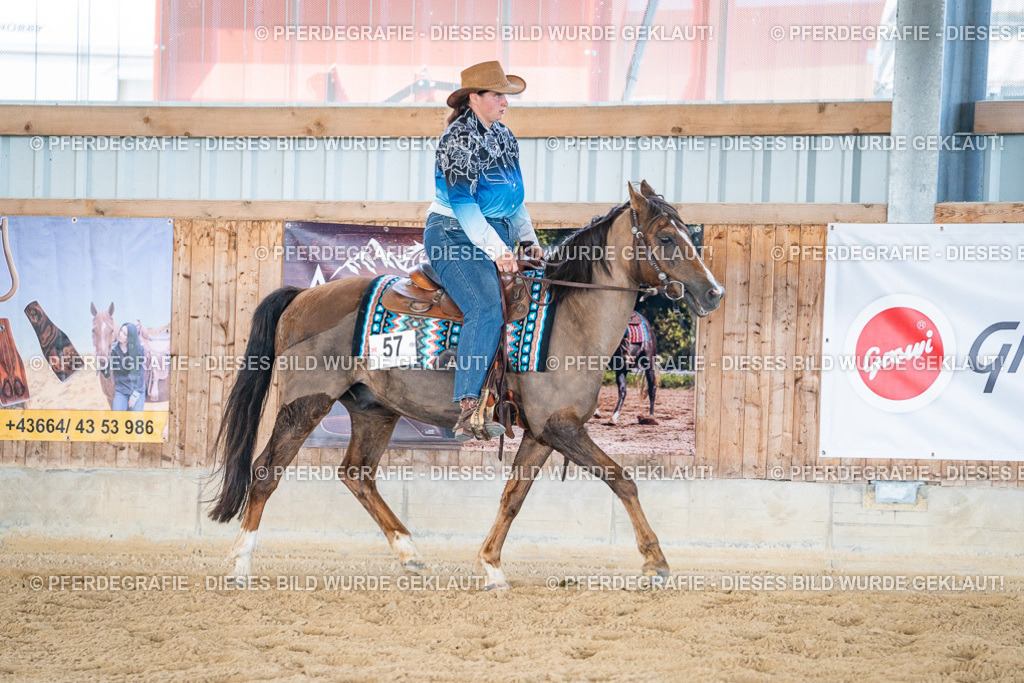 DSC03736 | Pferdegrafie