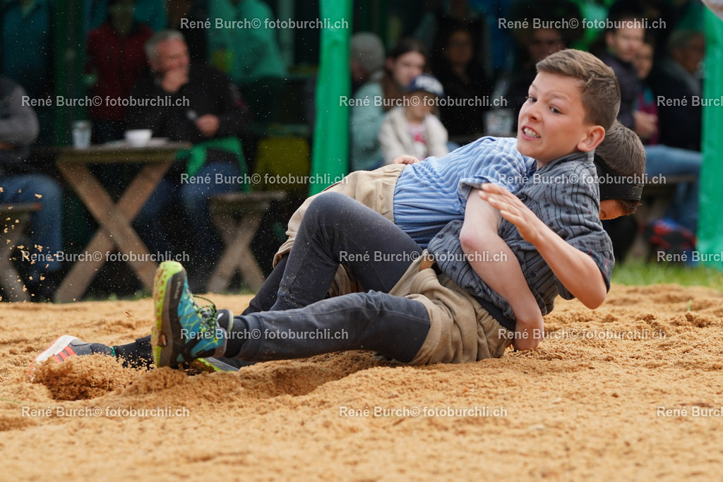 20220423-DSC07902 (2) | René Burch leidenschaftlicher Fotograf aus Kerns in Obwalden.  Hier finden sie Sport, Landschaft und Natur Fotografie.
 - Realisiert mit Pictrs.com