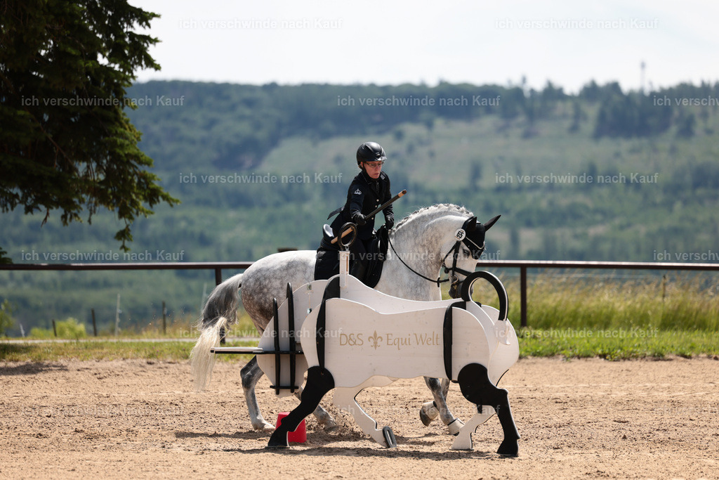 KlasseA_Stoibphotography_C2_L5523.JPG | working equitationturnier fotograf videograf stoibphotography marixx film working equitation deutschland reitsport turnierfotografie eventfotografie equestrian events