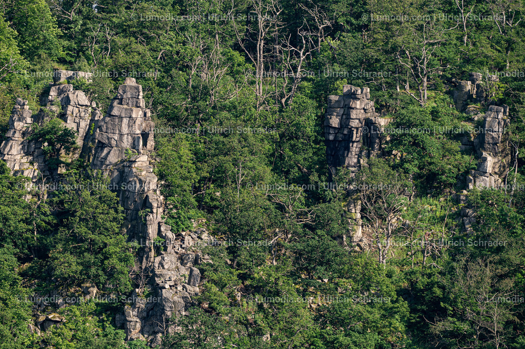 10049-13283 - Im Bodetal bei Thale | Stockfoto und Bilderpool mit Bildmaterial aus Deutschland, dem Harz, Halberstadt, Quedlinburg, Wernigerode und weltweit. Qualitativ hochwertige und professionelle Fotos anschauen und kaufen. - Realisiert mit Pictrs.com