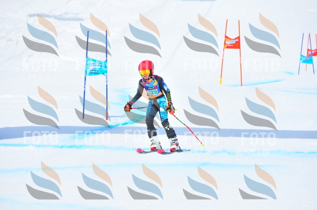 DSC_3020 | holidayphoto