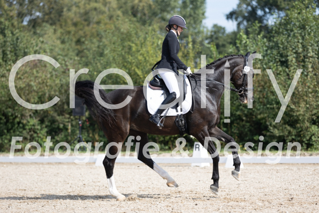 IMG_3560 | Creatify Fotografie