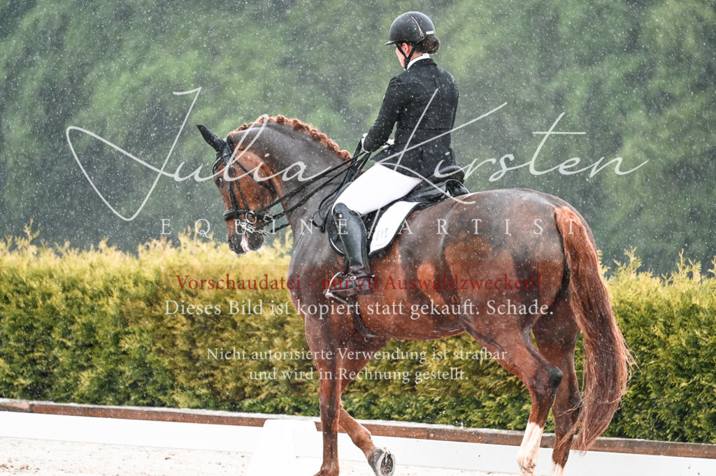 DSC_4089 | Pferde- und Turnierfotografie in Westsachsen. Pferdeportraits, Auftragszeichnungen und intuitive Kunst.