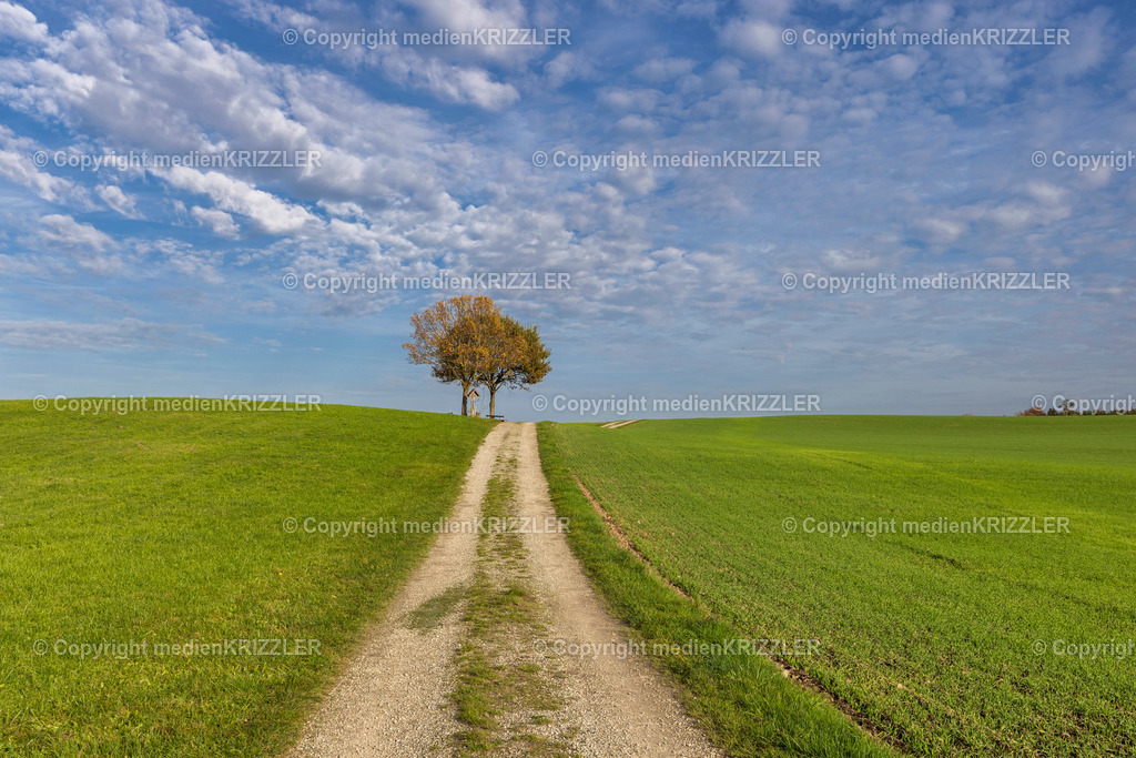 _J3A8971 | medienkrizzler - Realisiert mit Pictrs.com