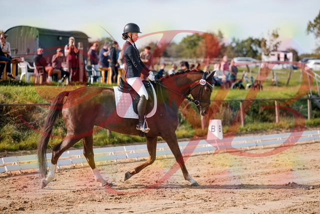 2026_10_03_Siefer-Hof_114720_Z63_25764832 | Professionelle Reitsport-, Turnier- und Eventfotografie von Robert Broda. Galerien mit ausgewählten und bearbeiteten Bildern direkt online ansehen und bestellen.