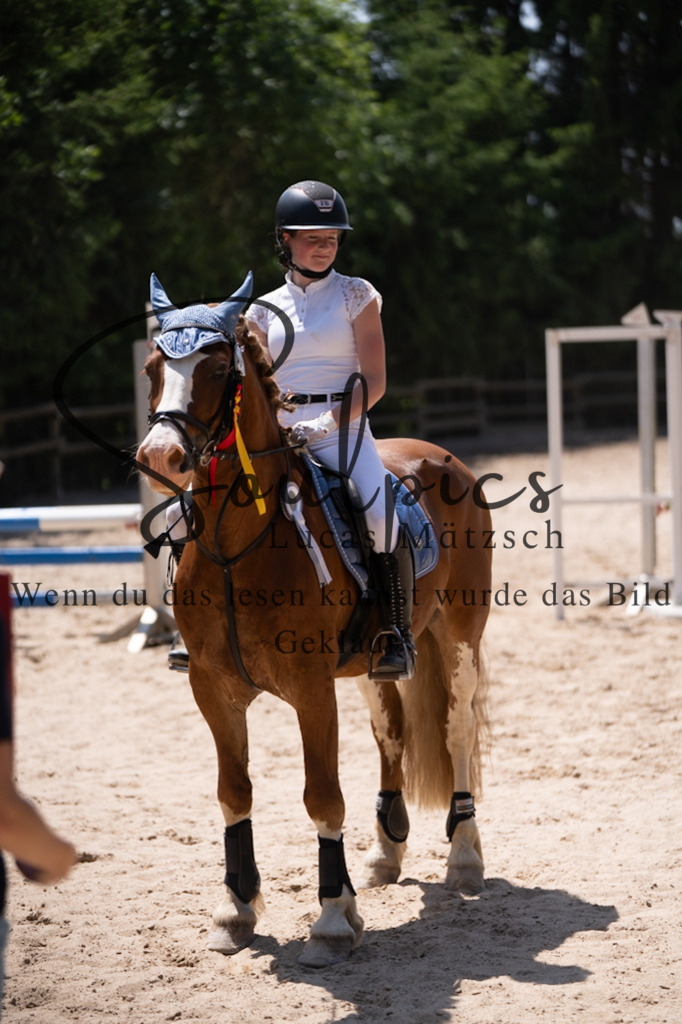 A7V08428 | Pferdefotograf