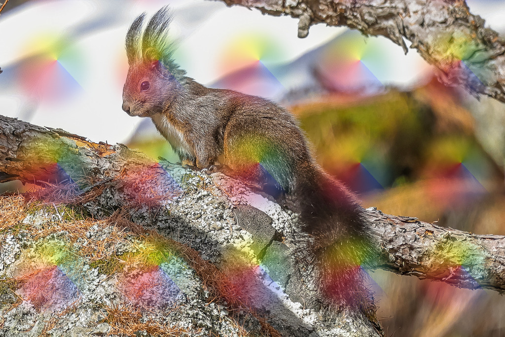 20240322-1M5A0273 | FineArtPrint, Hahnemühle, FeeGalerie, Fee Galerie, Fotokunst, Fotografie, Canonphotography, Bergfoto, Matterhorn, Rimpfischhorn, Allalinhorn, Saas-Fee, Wallis, Valais, Switzerland, Bergfotografie