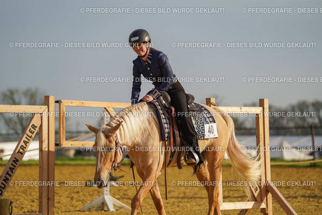 DSC00016 | Pferdegrafie