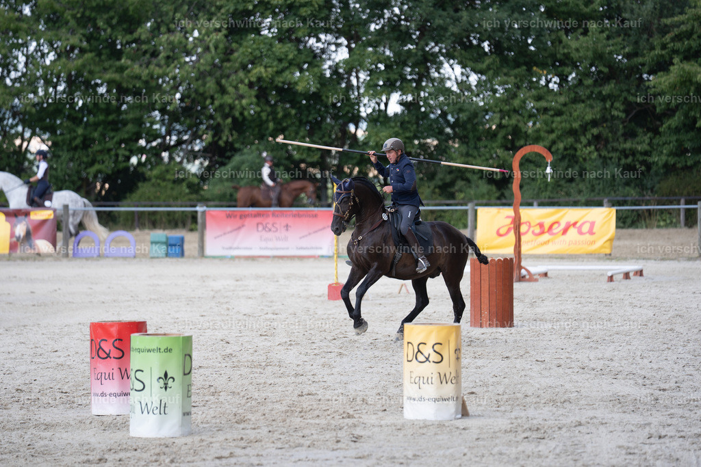 WS_SP_37_SinaFilmArt_IN08485 | working equitationturnier fotograf videograf stoibphotography marixx film working equitation deutschland reitsport turnierfotografie eventfotografie equestrian events
