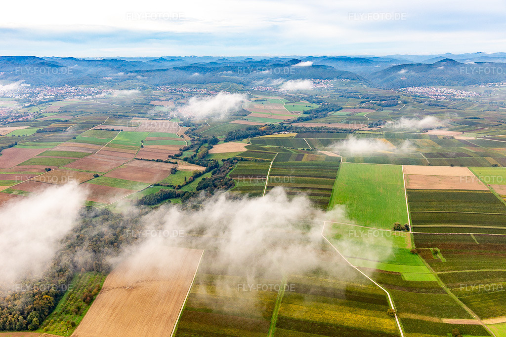 Luftbild: Horbachtal unter herbstlichen Wolken von Osten im Ortsteil Ingenheim in Billigheim-Ingenheim im Bundesland Rheinland-Pfalz in Deutschland. Foto: IMG_143688.jpg vom 12.10.2024 durch Werner Riehm/FLY-FOTO.de