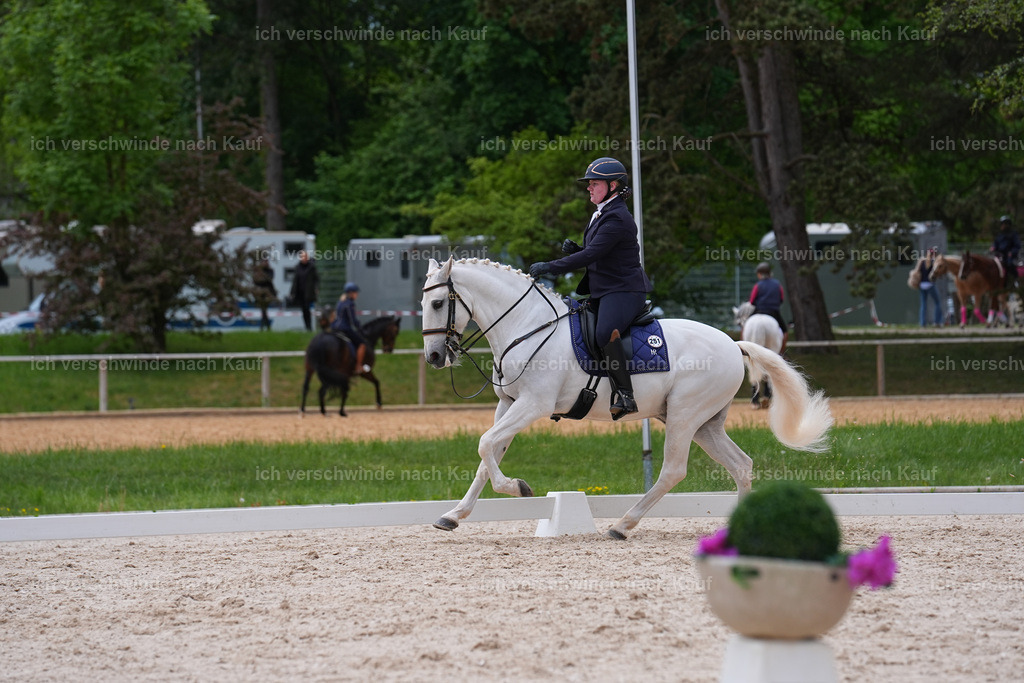 PI26_DR_251_StoibphotographySIN07186.jpg | working equitationturnier fotograf videograf stoibphotography marixx film working equitation deutschland reitsport turnierfotografie eventfotografie equestrian events