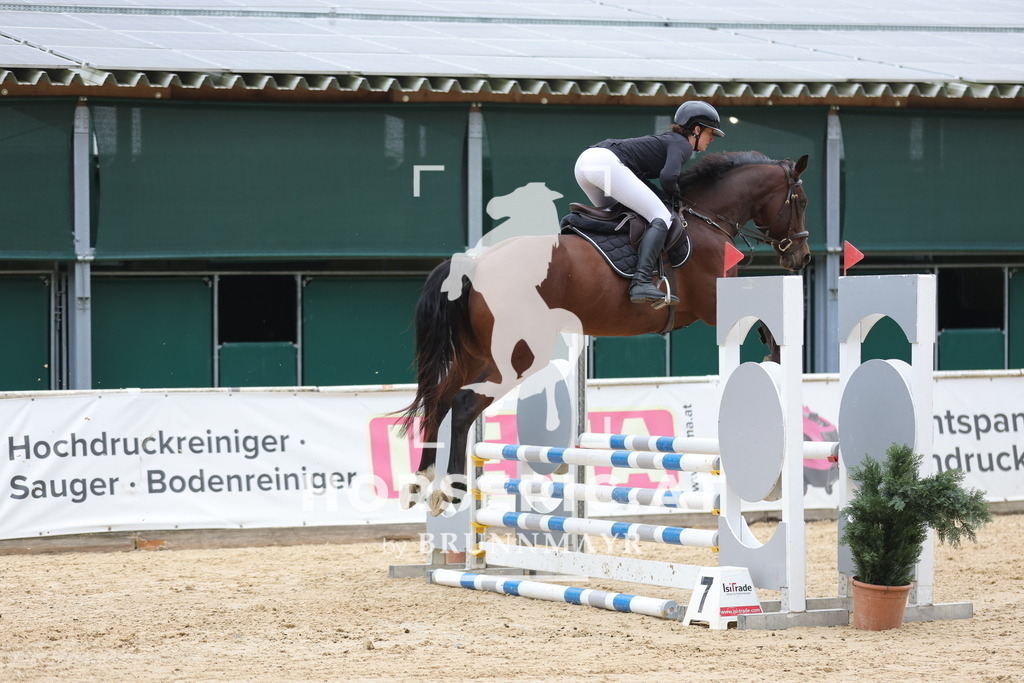 0P6A5535 | Willkommen bei Brunnmayr - Design & Fotografie – Ihrem Spezialisten für Reitturniere und Pferdeveranstaltungen in Oberösterreich, Salzburg und Bayern! Seit über 17 Jahren sind wir leidenschaftlich dabei.