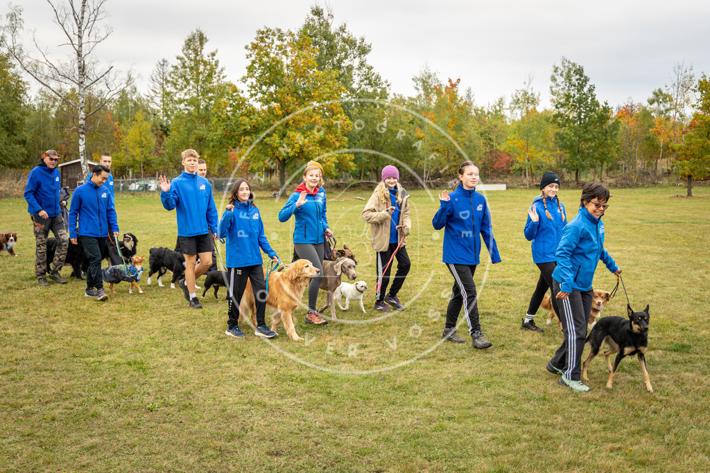 Pfotenfotografie_0L8A0283 | Hundefotografie, Tierfotograf, Pfotenfotografie, Fotoshooting Hund, Hunde Portrait, Hundesport, Hundeportraits, Heideshooting, Hunde, Sportfotograf, Hundefotograf, Turnierhundsport, THS,  - Realisiert mit Pictrs.com