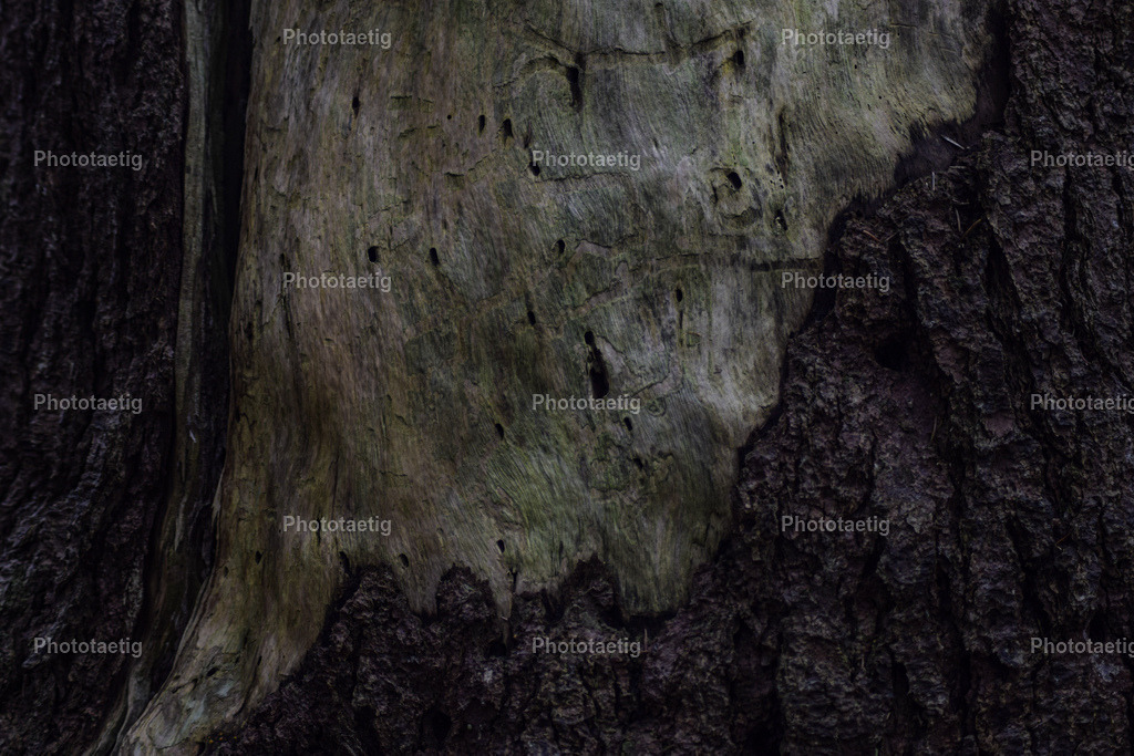 IMG_4749 | phototaetig