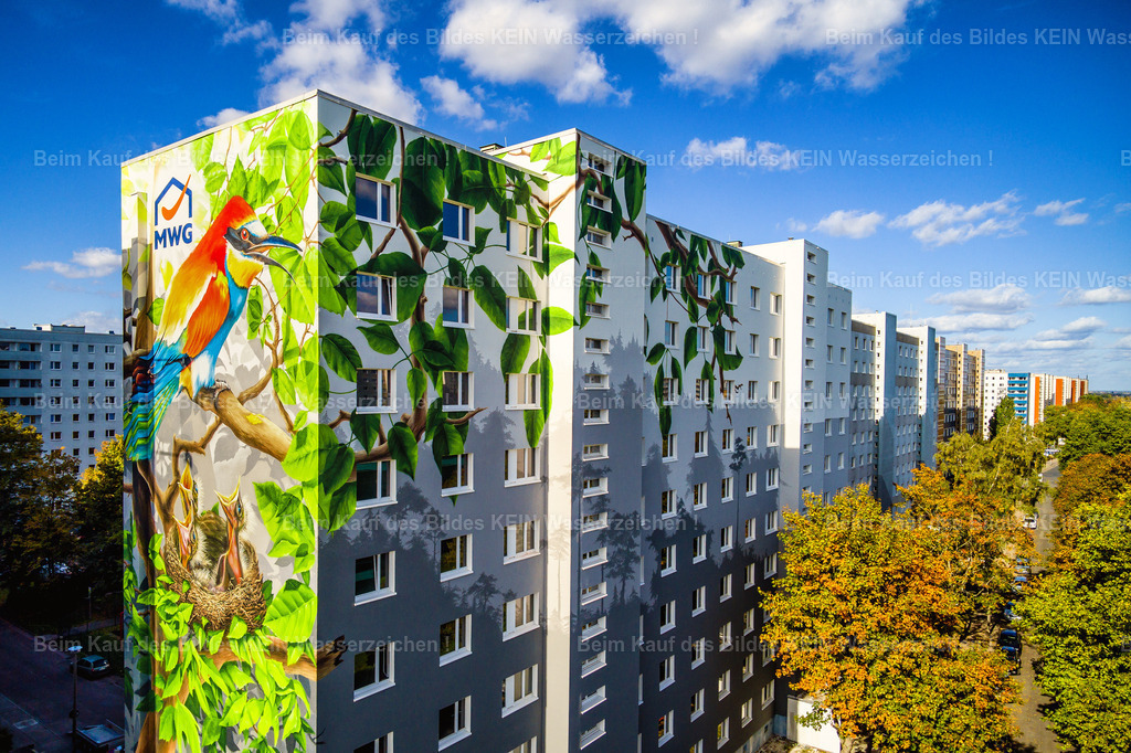 MWG Kannenstieg-0018 | Die Magdeburger Platte® - das sind die schönsten Luftbilder von Magdeburg & Sachsen-Anhalt auf Acryl, Leinwand oder zum Download. Das ist Luftbildfotografie & Luftbildaufnahmen mit Drohne & Flugzeug.  - Realisiert mit Pictrs.com