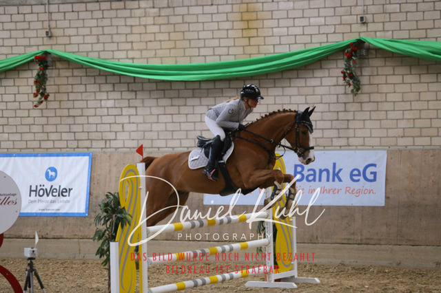 IMG_0643 | Turnierfotos kaufen im Webshop von Daniel Kuhl Photography – entdecke professionelle Reitsportfotos aus Turnieren & Events. Hochwertige Turnierbilder online bestellen & sichern. Jetzt Fotos von Reitsportturnieren kaufen!