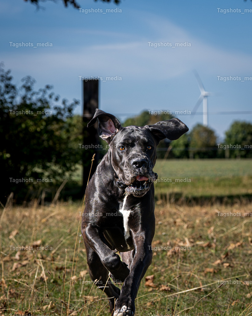 A7507199 | tagshotsmedia - Realisiert mit Pictrs.com