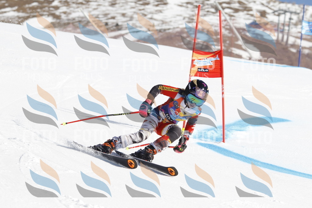 _U3G8525 | holidayphoto