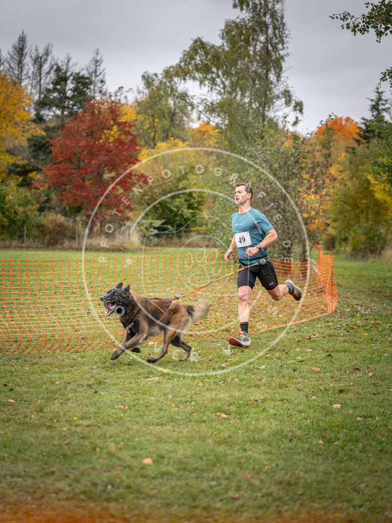Pfotenfotografie_DV3A2470 | Hundefotografie, Tierfotograf, Pfotenfotografie, Fotoshooting Hund, Hunde Portrait, Hundesport, Hundeportraits, Heideshooting, Hunde, Sportfotograf, Hundefotograf, Turnierhundsport, THS,  - Realisiert mit Pictrs.com