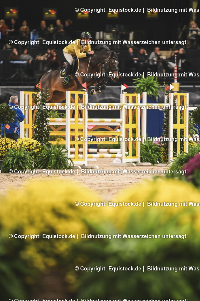 20241115_Preis der Outletcity Metzingen_TOMsPiC_0101 | Foto: Thomas Hartig