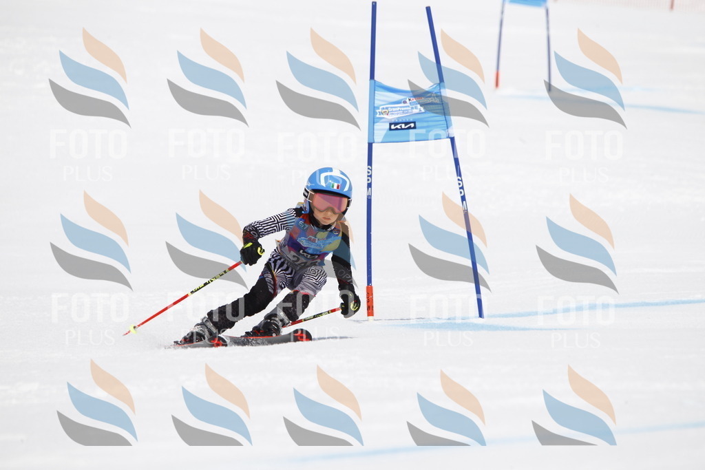 _U3G6194 | holidayphoto