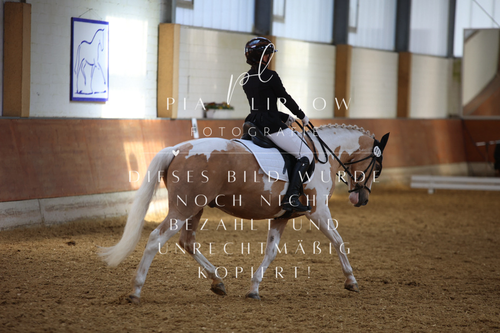 IMGT5206 | pl-fotografie