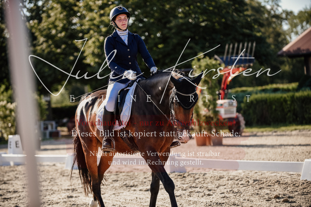 DSC_0642 | Pferde- und Turnierfotografie in Westsachsen. Pferdeportraits, Auftragszeichnungen und intuitive Kunst.