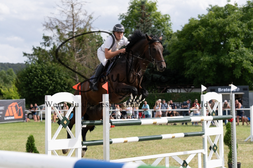 A7V02595 | Pferdefotograf