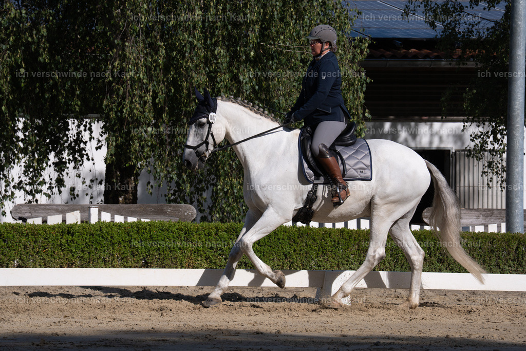 WL_DR_47_sinafilmart_IN06235 | working equitationturnier fotograf videograf stoibphotography marixx film working equitation deutschland reitsport turnierfotografie eventfotografie equestrian events