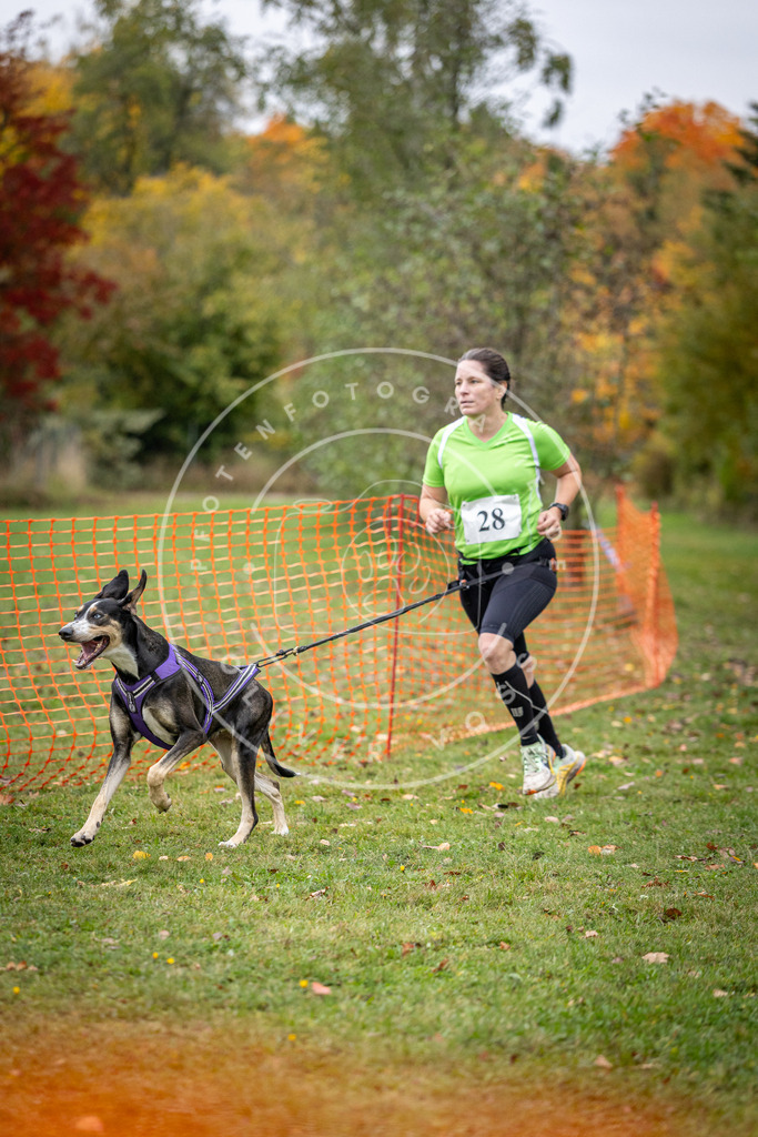 Pfotenfotografie_DV3A2071 | Hundefotografie, Tierfotograf, Pfotenfotografie, Fotoshooting Hund, Hunde Portrait, Hundesport, Hundeportraits, Heideshooting, Hunde, Sportfotograf, Hundefotograf, Turnierhundsport, THS,  - Realisiert mit Pictrs.com
