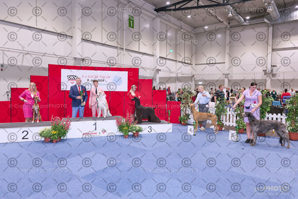 202406_ÖKV-IHA-Tulln24_NZ9_8750 | proPHOTO - Realisiert mit Pictrs.com