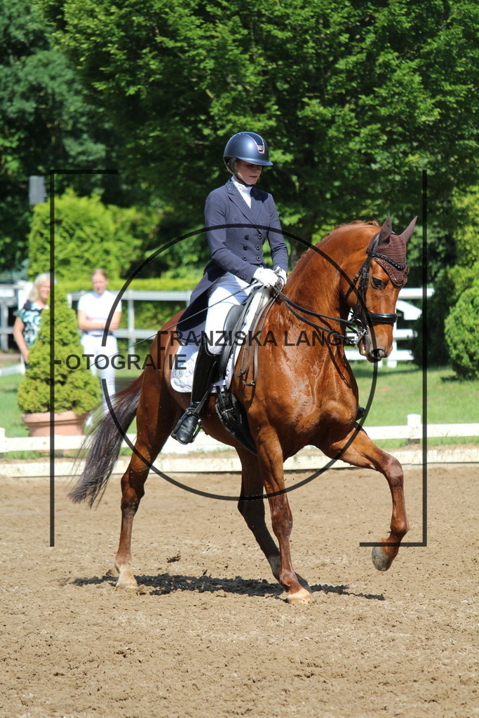 IMG_7081 | franziskalange - Realisiert mit Pictrs.com