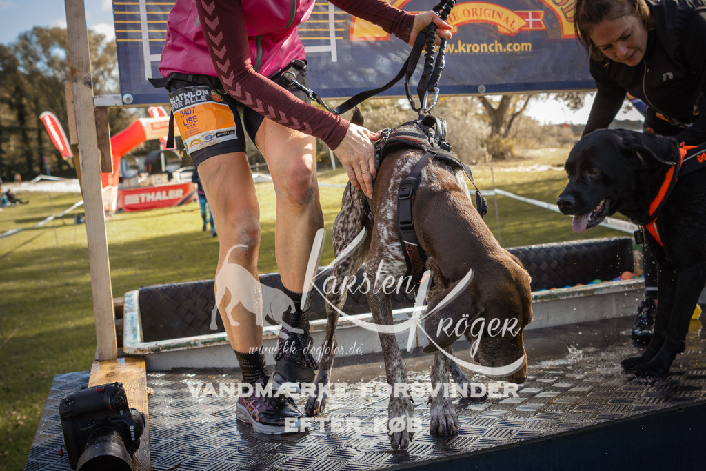 1317_ZZ99983-2 | kk-dogfotos