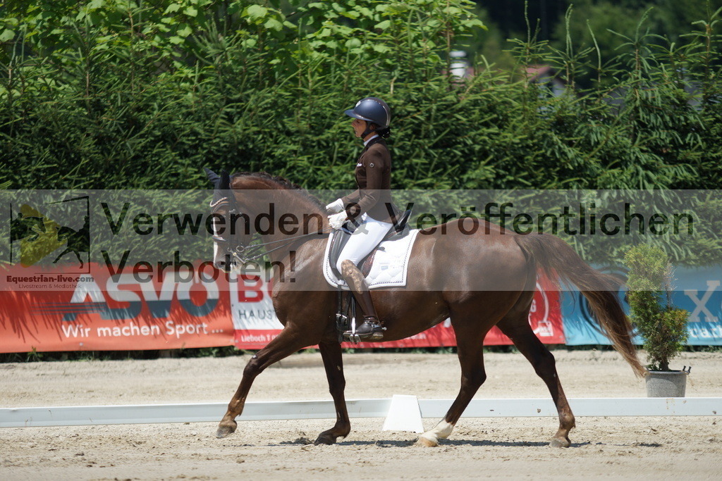 DSC05069 | equestrian-live-com