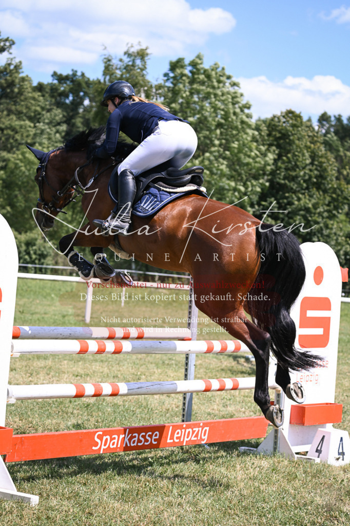 DSC_0253 | Pferde- und Turnierfotografie in Westsachsen. Pferdeportraits, Auftragszeichnungen und intuitive Kunst.