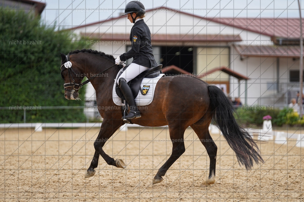 20240825-FAH00120 | Turnierbilder, Reitsportfotos, LAPO, Landesponyturnier, Turnierfotografen Bayern