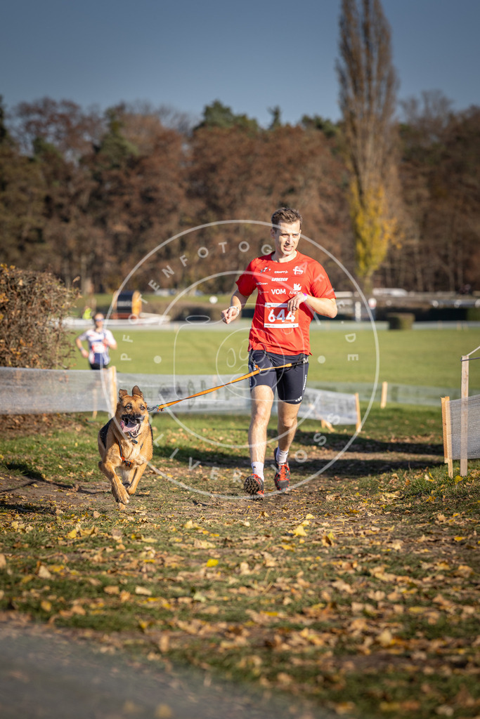 CaniXpix_DV3A0398 | Hundefotografie, Tierfotograf, Pfotenfotografie, Fotoshooting Hund, Hunde Portrait, Hundesport, Hundeportraits, Heideshooting, Hunde, Sportfotograf, Hundefotograf, Turnierhundsport, THS,  - Realisiert mit Pictrs.com