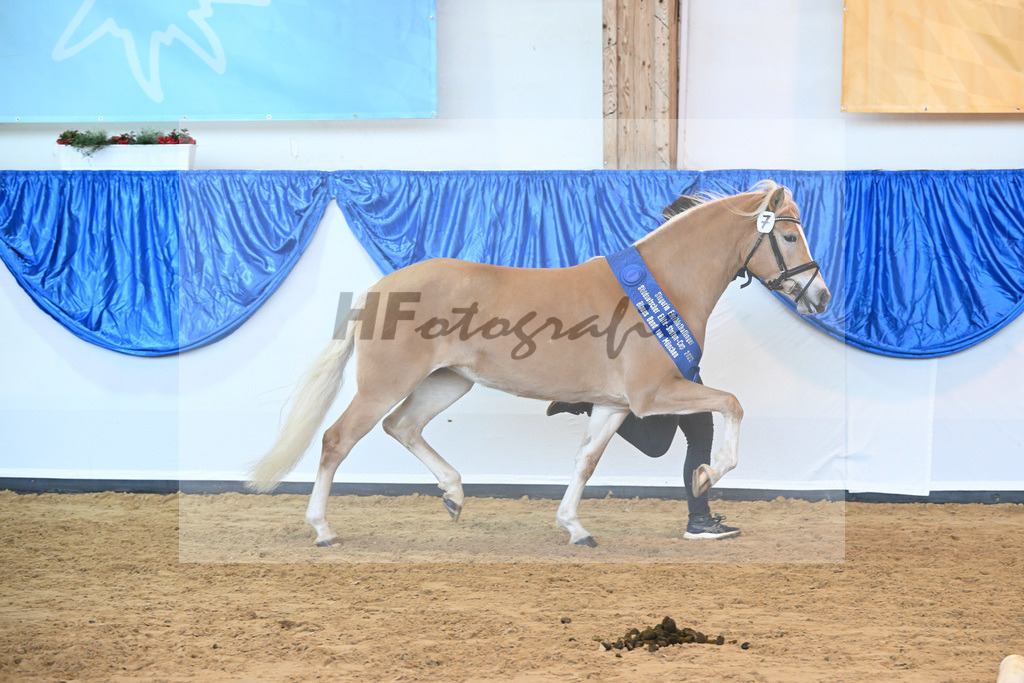 Kat-Nr. 7 Daria v. Armani Ass_Obermaier_60221314 | hf-fotografie - Realisiert mit Pictrs.com