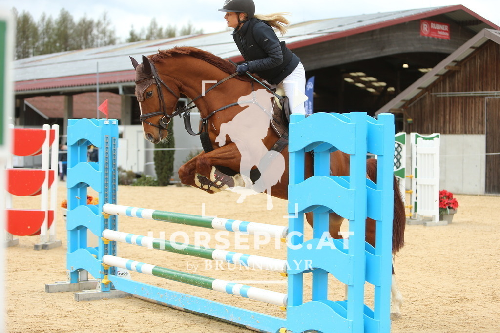 DL2Q2119 | Willkommen bei Brunnmayr - Design & Fotografie – Ihrem Spezialisten für Reitturniere und Pferdeveranstaltungen in Oberösterreich, Salzburg und Bayern! Seit über 17 Jahren sind wir leidenschaftlich dabei.