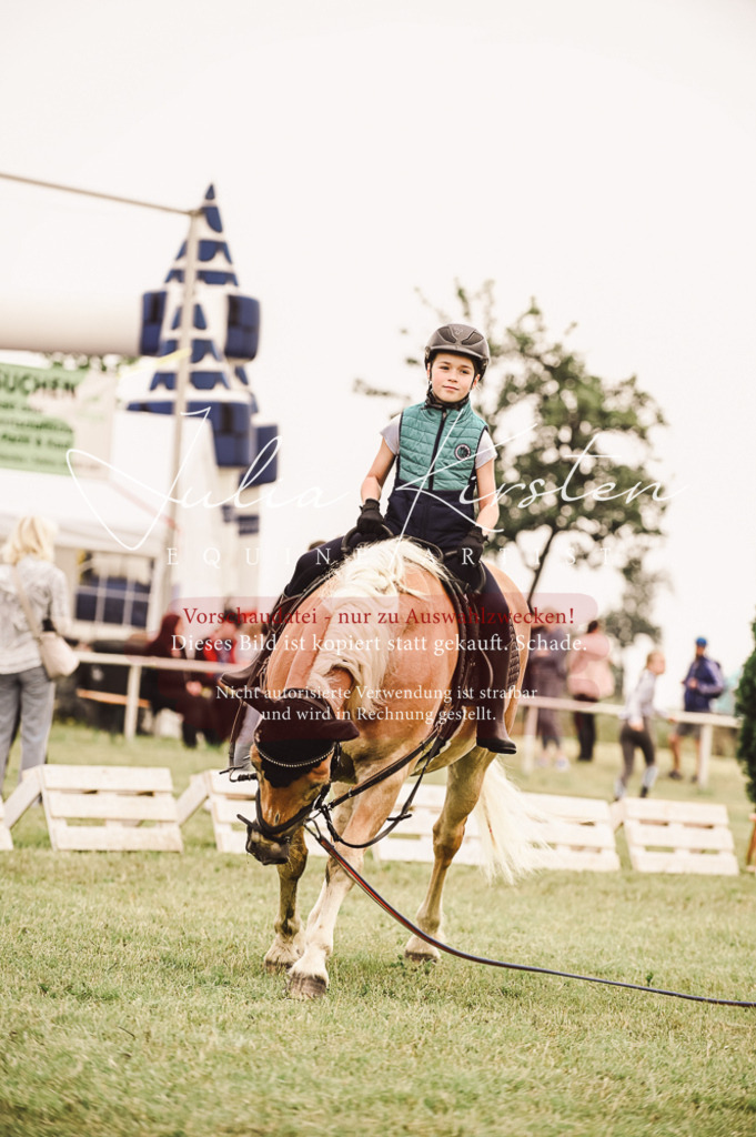 DSC_5313 | Pferde- und Turnierfotografie in Westsachsen. Pferdeportraits, Auftragszeichnungen und intuitive Kunst.