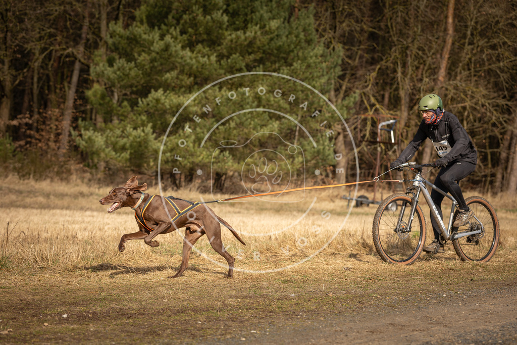 DV3A4358 | Hundefotografie, Tierfotograf, Pfotenfotografie, Fotoshooting Hund, Hunde Portrait, Hundesport, Hundeportraits, Heideshooting, Hunde, Sportfotograf, Hundefotograf, Turnierhundsport, THS,  - Realisiert mit Pictrs.com