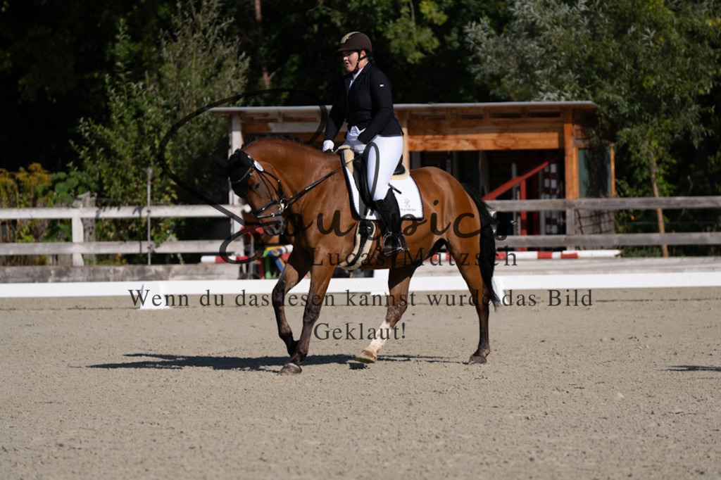 A7V06908 | Pferdefotograf