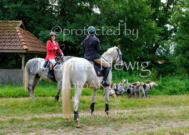 Jagd Knoop 26_MarinaHewigDSCF8766 | Fotografie, FotoArt, PferdesportArt, Pferdesportfotografie, Landschaftsfotografie, Reisefotografie, Reise, Pferde - Realisiert mit Pictrs.com