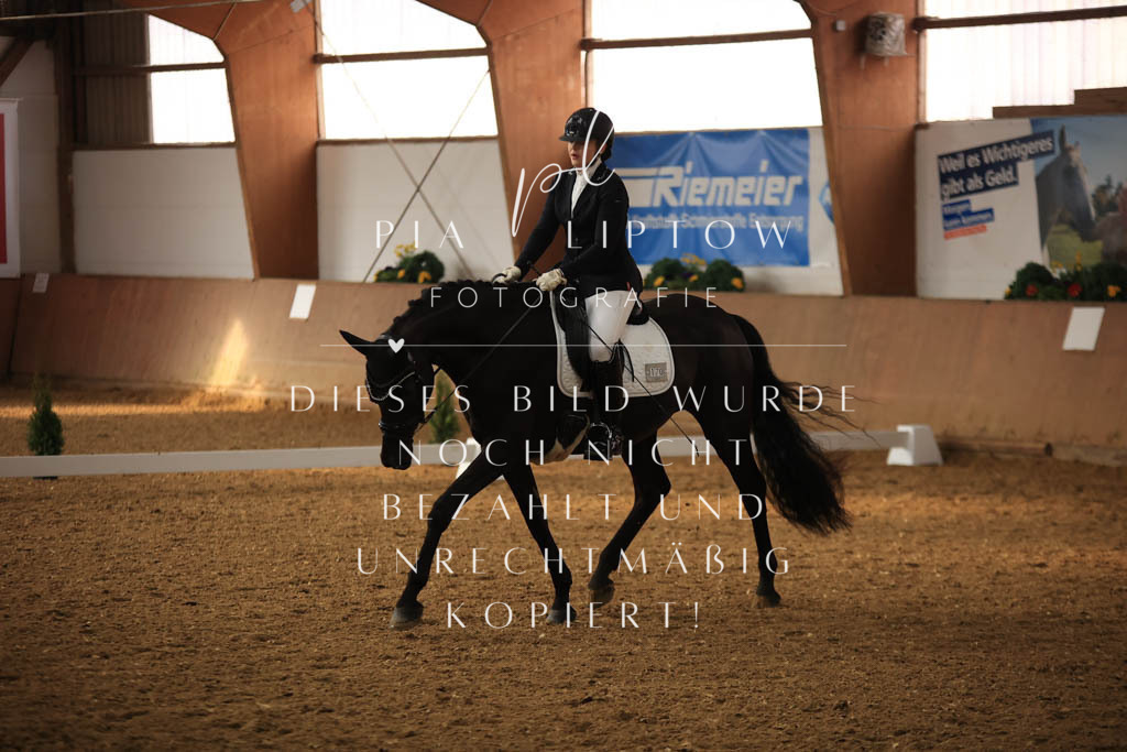 IMGT7369 | pl-fotografie