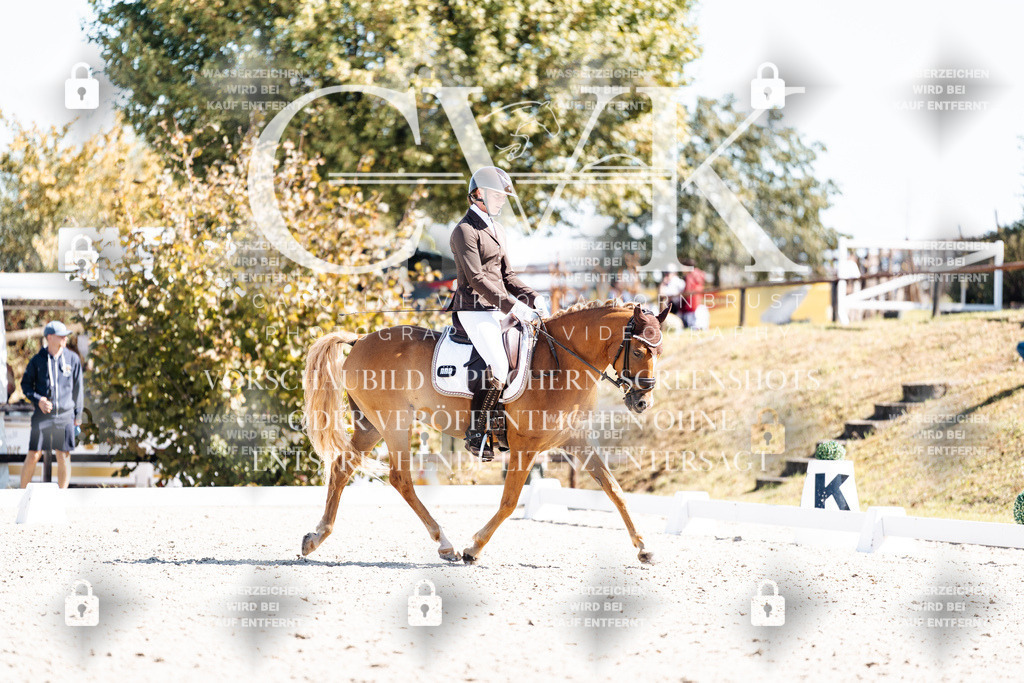 CK903751 | Turnierfotografie Pferdefotografie Trier Rheinland-Pfalz Pferdesport Reitsport Tierfotografie Sportfotografie Pferdevideo Pferdevideografie Equestrianvideography equestrianphotography  - Realisiert mit Pictrs.com