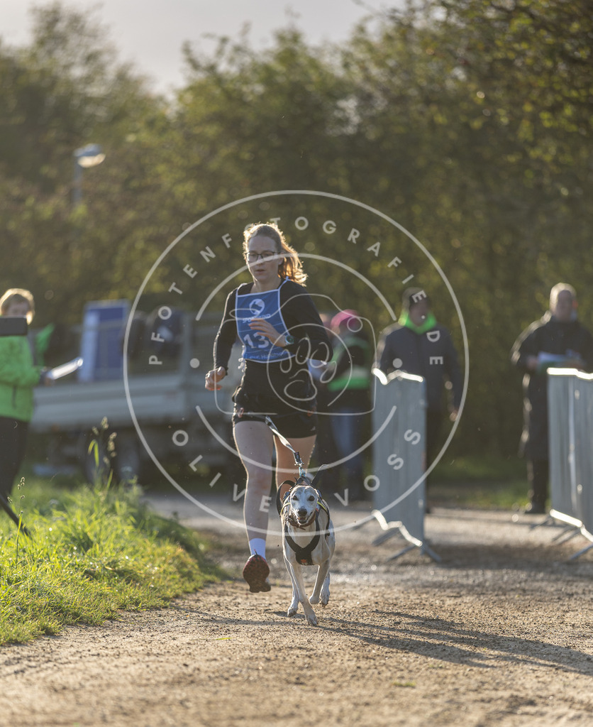 Pfotenfotografie.de_DV3A2978 | Hundefotografie, Tierfotograf, Pfotenfotografie, Fotoshooting Hund, Hunde Portrait, Hundesport, Hundeportraits, Heideshooting, Hunde, Sportfotograf, Hundefotograf, Turnierhundsport, THS, canicross - Realisiert mit Pictrs.com