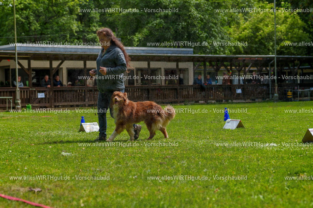@allesWIRTHgut_Tierfotografie - www.allesWIRTHgut.de - 7R500866 | Professionelle Tierfotografie in Mönchengladbach von Daniel Wirth (allesWIRTHgut). Liebevolle & natürliche Bilder von Hunden & Katzen für unvergessliche Erinnerungen.