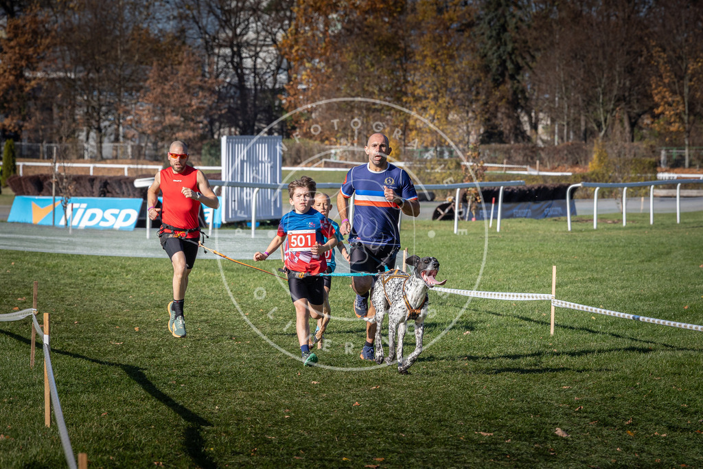 CaniXpix_0L8A6535 | Hundefotografie, Tierfotograf, Pfotenfotografie, Fotoshooting Hund, Hunde Portrait, Hundesport, Hundeportraits, Heideshooting, Hunde, Sportfotograf, Hundefotograf, Turnierhundsport, THS,  - Realisiert mit Pictrs.com